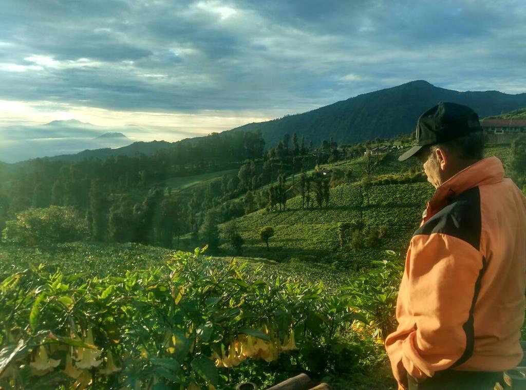 Bromo Otix Guest House Zewnętrze zdjęcie