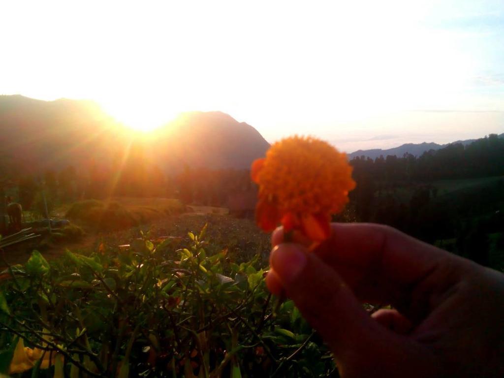 Bromo Otix Guest House Zewnętrze zdjęcie